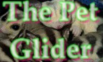 The Pet Glider